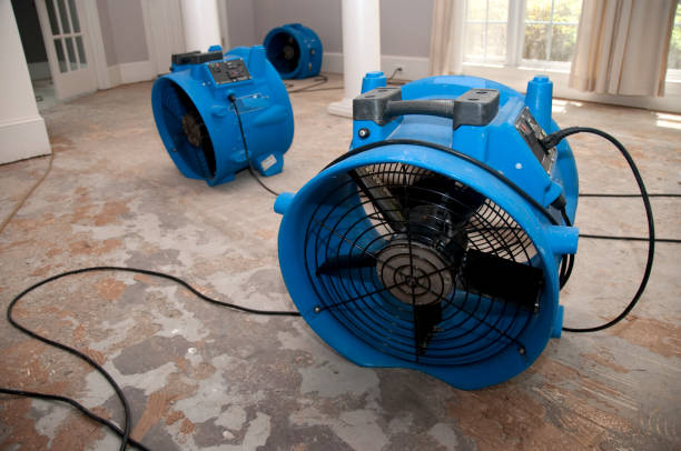 Best Flood restoration services  in Weston Lakes, TX