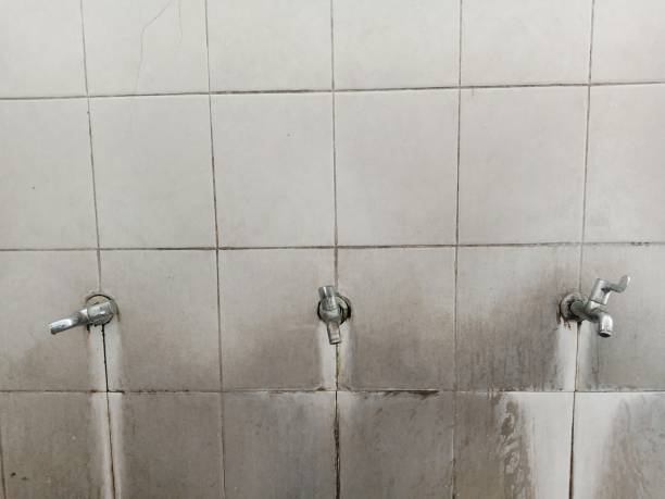 Best Water damage restoration experts  in Weston Lakes, TX