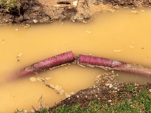 Best Water damage restoration services  in Weston Lakes, TX